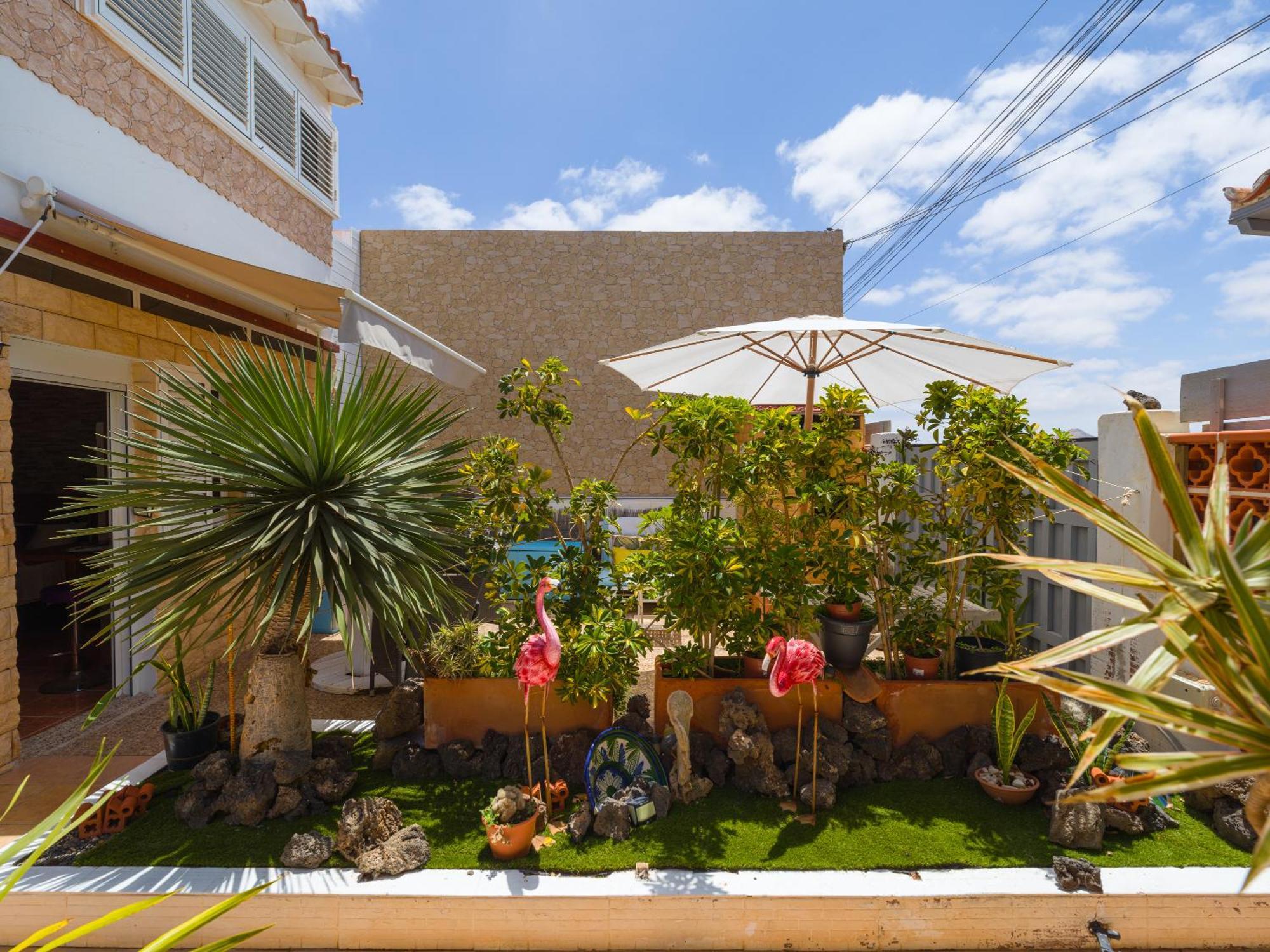 Solo Adultos, Las Tuneras Rooms La Oliva Exterior photo